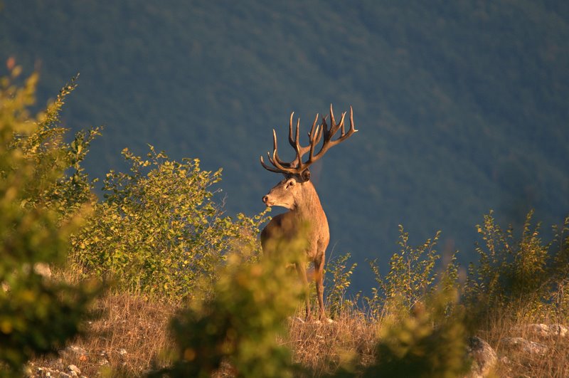 Equinozio d''autunno
